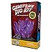 Discover with Dr. Cool Gemstone Dig Science Kit