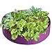 Okngr Fabric Raised Bed, 50 Gallon Grow Bags Fabric Bed Planting Bag Aeration Fabric Pots Breathable Planting Pouch Container for Plants Flowers Vegetables Herb, 50 Gallon, Purplethumb 1