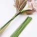 eBoot Floral Stem Wire 18 Gauge Wire 14 Inch, 50 Pack (Green)