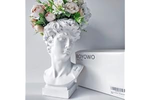 BOYOWO David Statue Greek Bust Face Vase Head Retro Decor Cute Room Decor Aesthetic Vintage Dark Academia Room Decor Y2K Teen Girls Trendy Stuff Gift Cute Coquette Room Decor Preppy Sculptures White 6.5''