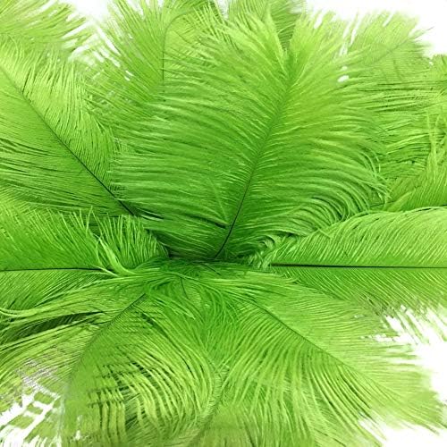 Lanpeed 10pcs Ostrich Feathers 18-20 inch (45-50cm) for Home Wedding Party Decoration (Green)