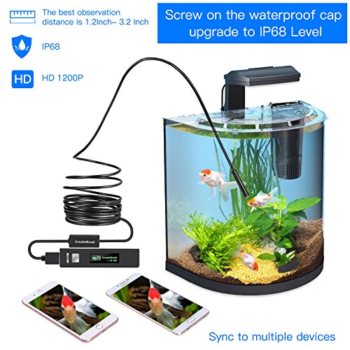 Wireless Endoscope,CreateGreat WiFi Borescope Inspection Camera 2.0 Megapixels 1200P HD Snake Camera with 8pcs Adjustable LED Inspection for Android and IOS Smartphone,Iphone,Samsung,Macbook(15FT)