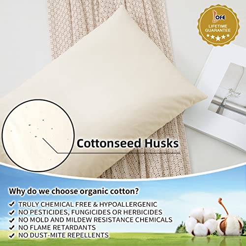 LOFE Organic Buckwheat Pillow for Sleeping Standard Size 20''x26