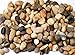 Supply Guru SG2133 River Rocks, Pebbles, Outdoor Decorative Stones, Natural Gravel, For Aquariums, Landscaping, Vase Fillers, Succulent, Tillandsia, Cactus pot, Terrarium Plants, 2 LB. (32-Oz). primary