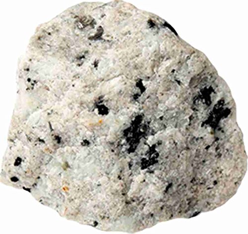 6 Ulysse+ERAS+Life+Excavation+Kit