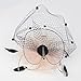 FAYBOX Elegant Silk Flower Feather Dot Net Fascinator Hat Hair Clip BlushPink