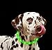 Akatie LED Dog Collar USB Rechargeable Glowing Pet Dog Collar Light for Night Safety Water Resistant Flashing Light Up Collars for Small Medium Large Dogs