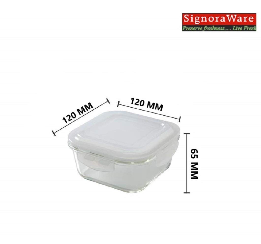 signoraware director glass lunch box