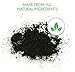 Sagano Activated Charcoal Shoe Deodorizer Inserts 2X Extra Large Size - Eliminates Moisture and Odor in Purses and Bags (Medium)