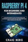 Raspberry Pi 4 For Beginners And Intermediates: A