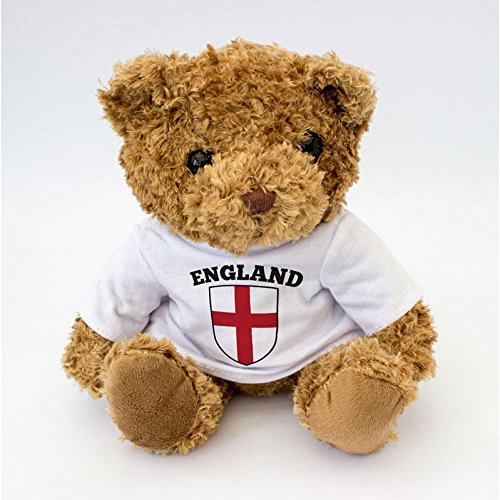 New england flag teddy bear - cute and cuddly - footbal…