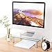 5Rcom Computer Monitor Stand Clear Tempered Glass Laptop Riser,Multi Desktop Stand with Height Adjustable Legs for Flat Screen LCD LED TV, Laptop/Notebookthumb 1