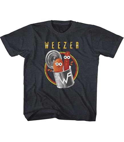 Amazon.com: American Classics Weezer T Shirt 2001 Lineup Youth