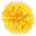 Amscan Fluffy Paper Decorations, 16