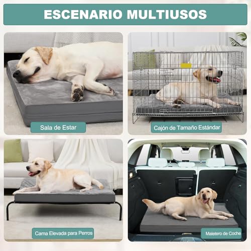 Muja Cama para Perro Grandes de Doble Cara, Cama Ortopédica para Perros con Almohadillas para Orejas Extraíbles y Parte Inferior Antideslizante, Adecuado para Casa para Perro, Pisos y Sofás