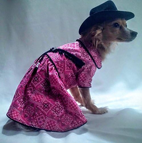 Custom Made Pink Cowgirl Dog Dress
