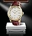 CIVO Mens Watches Luxury Waterproof Date Calendar Wrist Watches for Men Leather Stainless Steel Casual Business Dress Watch Fashion Classic Analogue Quartz Watch (2 Brown Leather Watch)