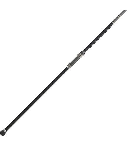Penn 10' Battalion II Surf Conventional Casting Rod, 12-20lb Line Rating, 2-Piece Graphite Composite Fishing Rod, Black/Gold : Sports & Outdoors