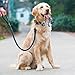 Dog Toys 12 Pack Gift Set-SUMGOTT Ball Rope and Chew Ropes Toys for Medium to Small Pet Teething Toys