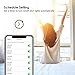 Sinvitron Led WiFi Smart Light Bulb E26 9W, Work with Amazon Alexa, Echo, Google Home and IFTTT, No Hub Required, 900lm, A19 85W Equivalent, RGBCW Multi-Color Changing - 2 Pack