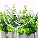 M-Aimee 3-Pack Hand Blown Clear Glass Cute Watering Aqua Globes Small Plant Watering Bulbs Mini Self,Bird,Mushroom,Snail Shape Design