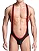 sandbank Men’s Sexy Mesh Wrestling Singlet Underwear Jockstrap Bodysuit Jumpsuit (M, Black)