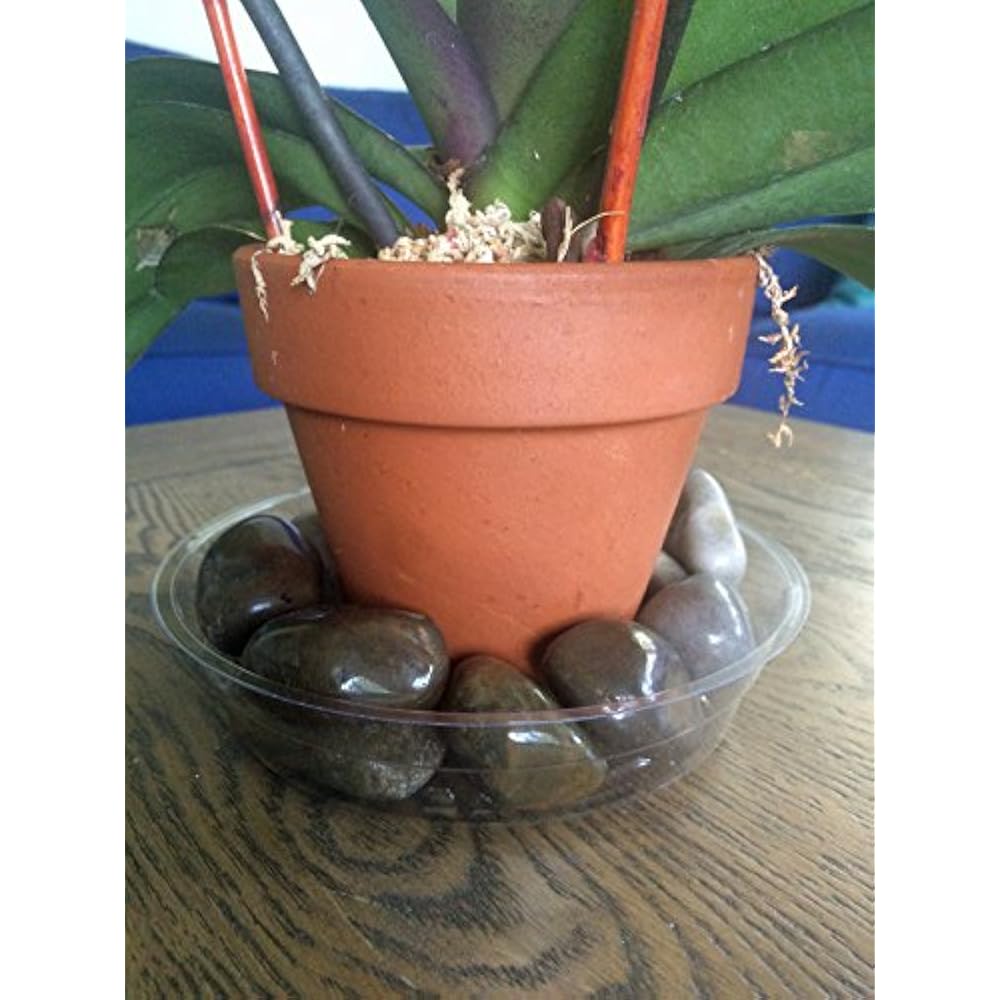 15pc Set Home & Garden Plant Pot Saucers Assorted Sizes EBook Included