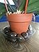 15-pc Set Home & Garden Plant Pot Saucers - Assorted Sizes - EBook Included