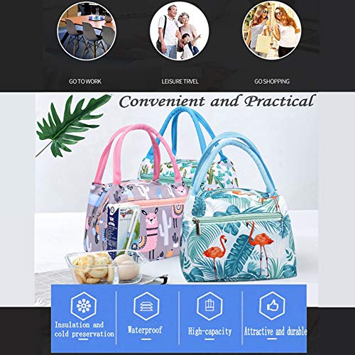 Echaprey Insulated Lunch Bag, Reusable Lunch Bag for Women/Adult/Student, Cooler Waterproof Organizer Lunch Tote Box for Work School Picnic (Cactus) - Thumbnail 4