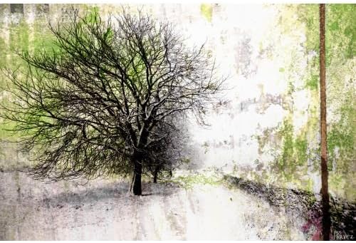 Parvez Taj 60 by 40-Inch Grey Peak Canvas Ready to Hang Artwork