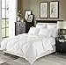 downluxe Lightweight White Down Comforter King Size - Down Duvet Inserts,230 Thread Count 550+ Fill Power,100% Cotton Shell Down Proof with Tabs