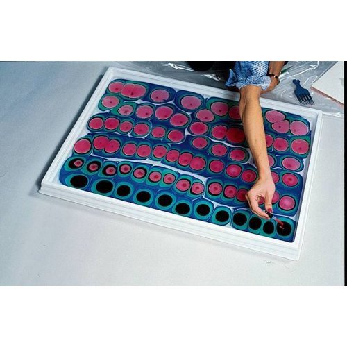 Jack richeson 101038 paper soaking/marbling tray, styrene, high g…