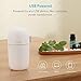 Essential Oil Diffuser, 100ml USB Ultrasonic Humidifier Aroma Diffuser Aromatherapy Diffuser Auto Shut-Off Ultrasound Portable Air Purifier with USB Cable for Car, Home