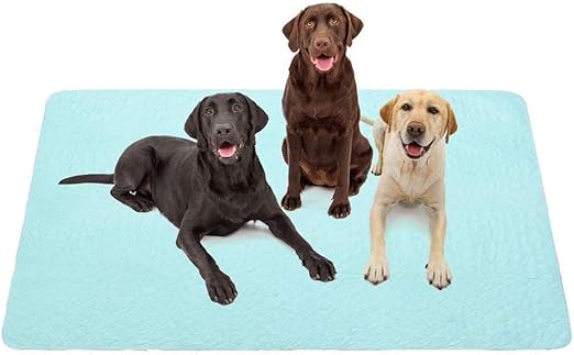 pee pad for large dogs