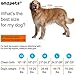 AMZpets Dog Lifting Harness - Small. Assists Pets with Limited Mobility Stand, Climb Stairs, Walk Into Cars Using Ramps. Support Sling for Senior & Injured Canines. Recommended by Veterinarians