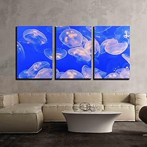 3 Piece Canvas Wall Art - Jelly Fish in The Blue Sea - Modern Home Art Stretched and Framed Ready to Hang - 16"x24"x3 Panels