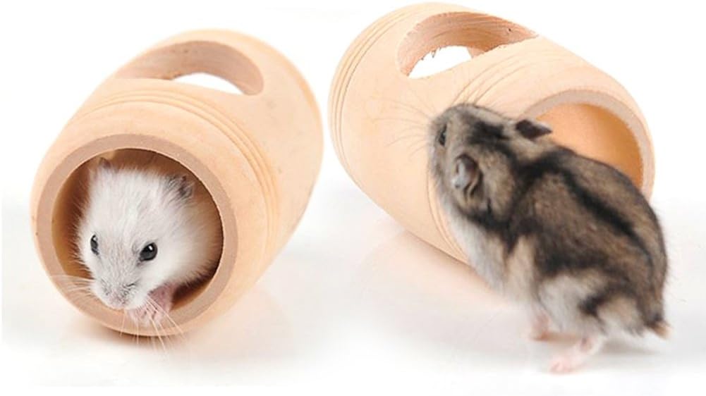 toys hamsters like