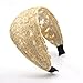 Lace Flower Headband - Lace Hairband Black Flowers Head Wrap Women's Classic Hairband Hair Accessory (Beige Strip)