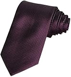 Coxeer® New Striped Plum Purple Men's Tie Formal Suit Necktie Wedding Holiday Gift