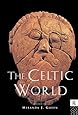 The Celtic World (Routledge Worlds)