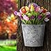 Sorbus Metal Wall Pocket Planter - Half Round Galvanized Decor - Wall Flower Holders Hanging Planters, Vintage Rustic Farmhouse Style
