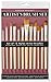 Studio Series Artist's Paint Brush Set (12 highest quality nylon brushes)