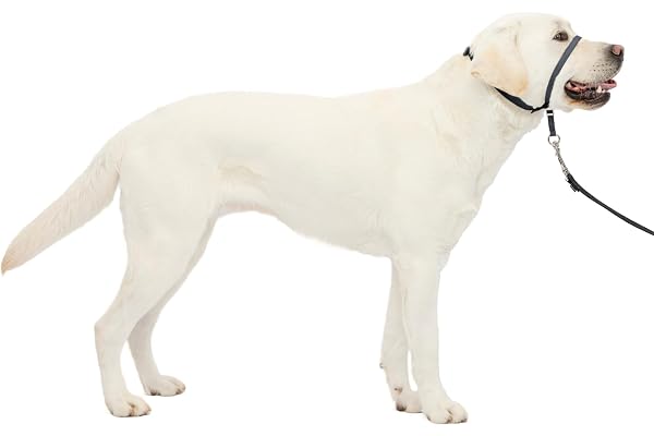 PetSafe Gentle Leader No-Pull Dog Headcollar - The Ultimate Solution to Pulling - Redirects Your Dog's Pulling for Easier Wal