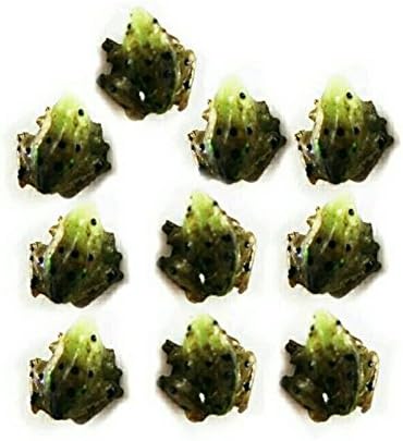 10 Frog Handmade Japan Clay Collectible Dollhouse Miniature Garden Fisherman