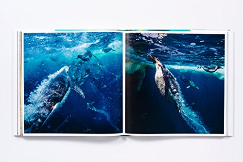 The Life & Love of the Sea
