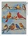 LPRTALK Diamond Painting by Number Kit, Karida 5D DIY Diamond Painting Full Square Drill Birds Embroidery for Wall Decoration 12X16 inches