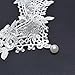DZT1968 Women Pendant Necklace Choker Chains Charm Lace pearl women collar (White)