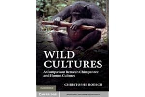 Wild Cultures: A Comparison between Chimpanzee and Human Cultures