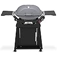 Weber Q 2800N+ Liquid Propane Grill with Stand, Smoke Grey