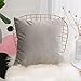 Home Brilliant Set of 2 Solid Square Ultra Soft Short Plush Velvet Accent Throw Pillow Sham Cushion Cover for Office Car Travel, 18 Inch(45cm), Light Grey